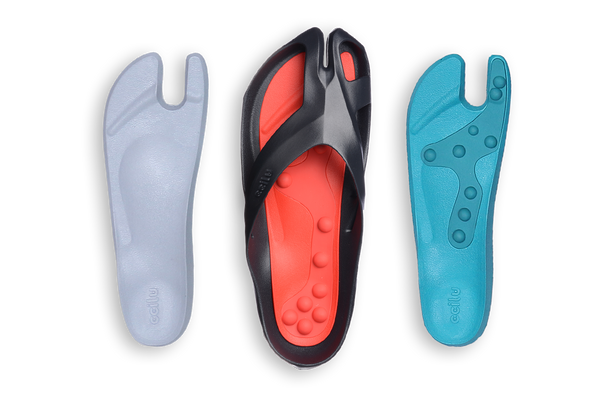 STEPPING STONES FUSION TRIO WOMEN