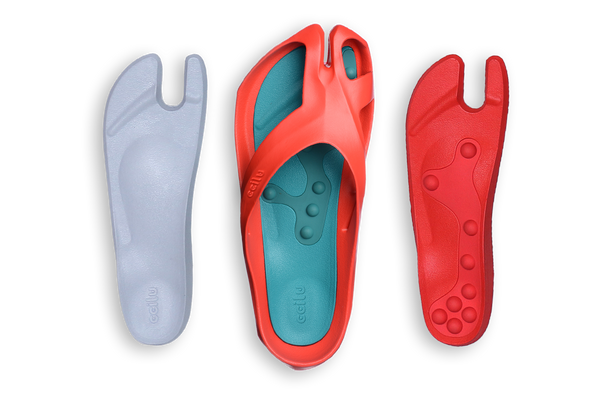 STEPPING STONES FUSION TRIO WOMEN