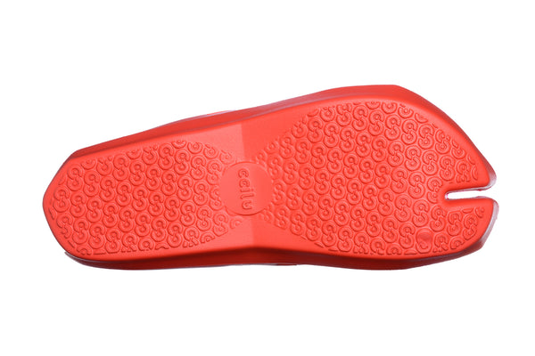 STEPPING STONES FUSION TRIO WOMEN