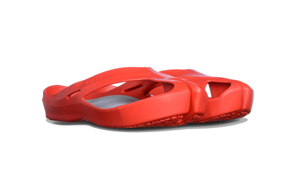 STEPPING STONES FUSION TRIO WOMEN