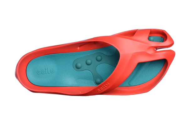 STEPPING STONES FUSION TRIO WOMEN